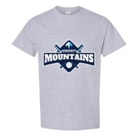 Heavy Cotton™ T-Shirt  Thumbnail