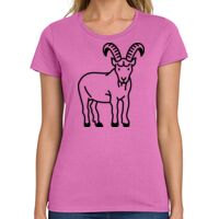 Ladies Heavy Cotton 100% Cotton T Shirt Thumbnail